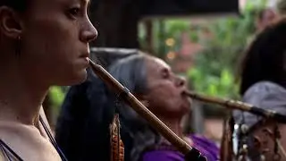 O Feitio da Ayahuasca