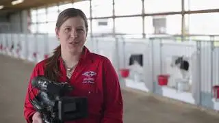 Select Sires Careers - Communications