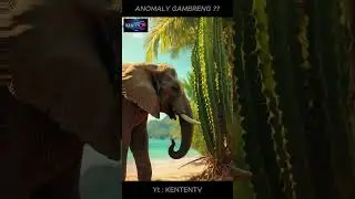 ANOMALY : GAMBRENG ?? Hybrid Animal or ANOMALY ?? #shorts #ANIMALS #ANOMALY