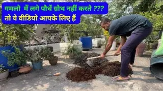 Soil Preparation For Gardening || गमलों के लिए मिट्टी कैसे तैयार करते है 