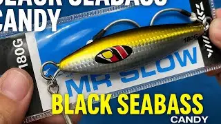 Use this Daiwa Mr Slow Jig to easily limit on black seabass! 