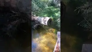 Wandern zum Sehen- Pichl-Kainisch - Strumen