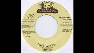 Bad Gal Riddim Mix (2004) Babycham,Spice,Mad Cobra,Macka Diamond & More(Dave Kelly Madhouse)