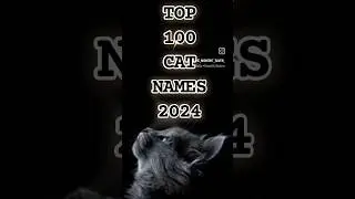 TOP 100 CAT NAMES OF 2024 15 - 11 #cats #catnames #top100 #cat #cats #lists #shorts