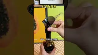 Wine plug