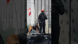 indian black commando security force #army #indianarmy #defenceacademy #indianarmedforces #sssdefenc