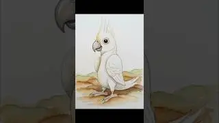 From Curves to a Crested Beauty 🦜 | Cockatoo Drawing & Coloring for Kids #cockatoo #drawing #kidsart