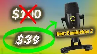 Best Cheep Professional Mic! Unboxing/Review Sound Test, Comparison And More! (2025)
