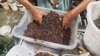 Mudando de substrato a minha costela de Adão