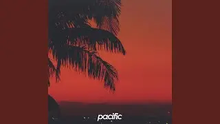 Vibe
