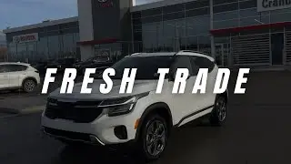 FRESH TRADE -  2025 KIA SELTOS  - CRANBROOK TOYOTA