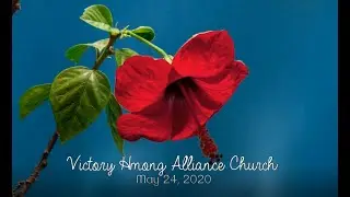 VHAC Madison, WI Sunday Service May 24, 2020