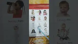 Actions words for kids #क्रियाएं #Action words with pictures @Uttrakhand9316 #youtubeshorts