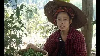 A Tea Planter's Struggles (English Subtitle)