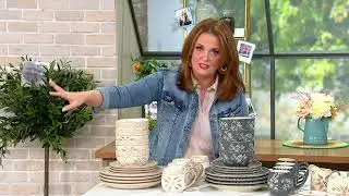 Temp-tations 16-Piece Essential Dinnerware Set on QVC