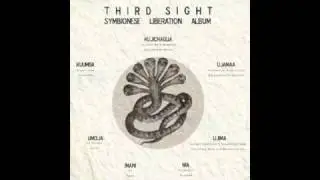 Third Sight & D-styles (Symbionese Liberation) - 1. Hypothermia