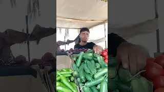 غزة أسعار فلكية وجيوب فارغة...من يوميات النزوح في مواصي خان يونس