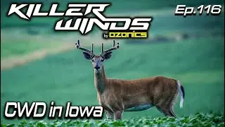 CWD in Iowa with DNR State Deer Biologist, Jace Elliott || Killerwinds Podcast
