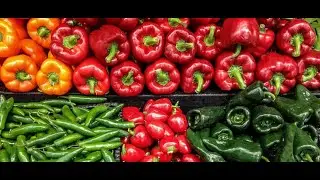 Chili Pepper Washing Machine Video|Green Pepper Cleaning Machine Sale