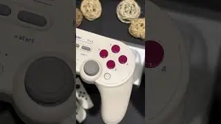 Unboxing my 8bitdo Pro 2 controller for my Nintendo Switch! Good grip! #8bitdo #nintendoswitch #game