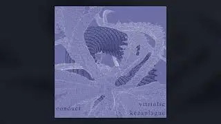 vitriolic conduct [riddim]