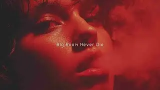2026 BIG ROOM HOUSE LIVE ⚡️ Best Festival Anthems & EDM Party Mix (24/7)