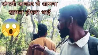 #Jangal Me Ghumte Huye !! जंगल में हमलोग भुल गए दोस्तों 😂😂  ! Kundan Vlog 341