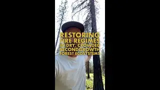 Restoring Fire Regimes in Dry, Crowded Secondgrowth Forests