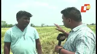 Cyclone alert | Cyclone fear keeps Odisha farmers on toes