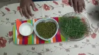 அருகம்புல்  பேஸ் பேக்/ Bermuda grass face pack for pimples ,eczema(தேமல்)