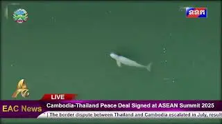 WATCH LIVE: Cambodia-Thailand Peace Deal Signed at ASEAN Summit 2025