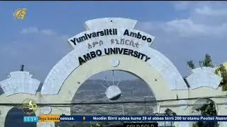 Qophii Yuunvarsitii Amboo simannaa barattootaaf
