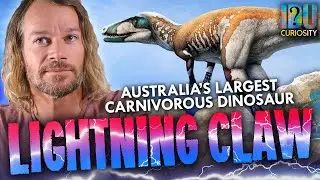 Lightning Claw - Australia's Largest Carnivorous Dinosaur! - Australian Opal Centre, Lightning Ridge