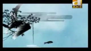 AKS TV | Filler