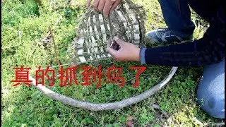 树皮做成捕鸟神器，麻雀还没反应过来就被拍扁，真有抓到哦