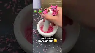 PINK RICE CAT EVOLUTION 😊