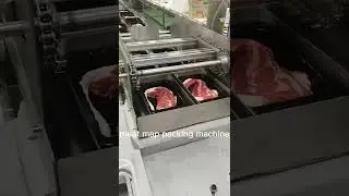 map modified atmosphere packing machine