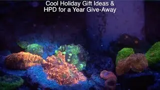 Cool Gift Ideas for a ReefKeeper - Saltwater Tank ReefKeeping Video