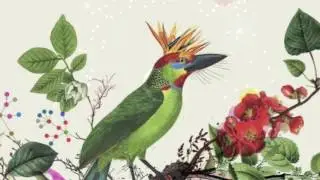Sara Serpa & Andr&eacute; Matos- AMLAC