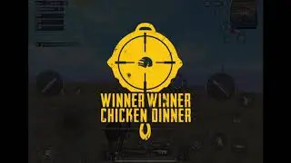 Chicken Dinner, 9 Kills, Aggressive Team,