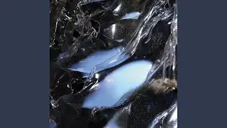 Surfaces & Shapes