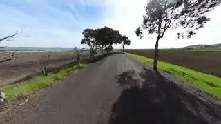 Alameda Creek Trail | 13 Mar 2024