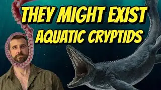 5 наиболее вероятных видов водных криптидов