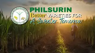 Empowering Farmers with High-Yield, Disease-Resistant Sugarcane for a Sweeter Tomorrow