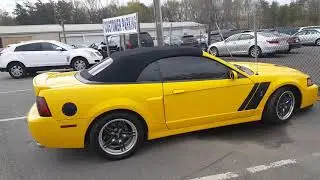 Mustang alphams.com
