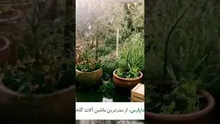 potting machine