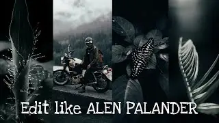 Dark Green tones inspired by ALEN PALANDER | FREE LR MOBILE PRESET