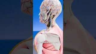 Why Hitting Your Funny Bone Hurts 😬 Surgeon Reacts