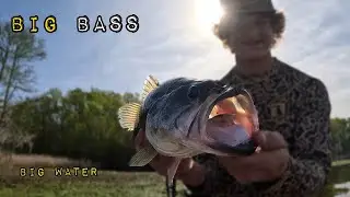 Bass  fishing Santee Cooper for MONSTERS