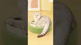 Cute Cat Scratcher Bed